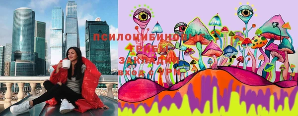 соль курить ск Ладушкин