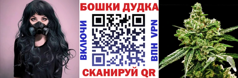 Бошки Шишки сатива  Купить закладки  Снежногорск 